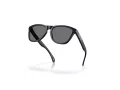 Oakley Frogskins Zonnebril OO 9013 M7