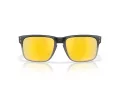 Oakley Holbrook Zonnebril OO 9102 AH