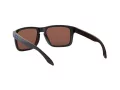 Oakley Holbrook Zonnebril OO 9102 C1