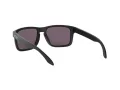 Oakley Holbrook Zonnebril OO 9102 E8
