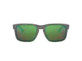 Oakley Holbrook Zonnebril OO 9102 J8