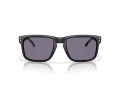 Oakley Holbrook Zonnebril OO 9102 Z3