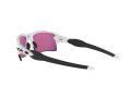 Oakley Flak 2.0 Xl Zonnebril OO 9188 03