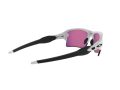 Oakley Flak 2.0 Xl Zonnebril OO 9188 03