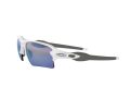 Oakley Flak 2.0 Xl Zonnebril OO 9188 82