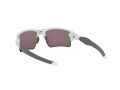 Oakley Flak 2.0 Xl Zonnebril OO 9188 94