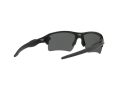Oakley Flak 2.0 Xl Zonnebril OO 9188 96