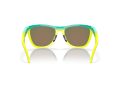 Oakley Frogskins Hybrid Zonnebril OO 9289 02