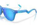 Oakley Frogskins Hybrid Zonnebril OO 9289 09