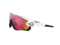Oakley Jawbreaker Zonnebril OO 9290 05