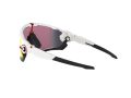 Oakley Jawbreaker Zonnebril OO 9290 05