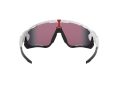 Oakley Jawbreaker Zonnebril OO 9290 05