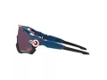 Oakley Zonnebril OO 9290 64