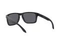 Oakley Holbrook Xl Zonnebril OO 9417 05