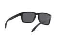 Oakley Holbrook Xl Zonnebril OO 9417 05