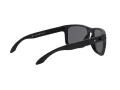 Oakley Holbrook Xl Zonnebril OO 9417 05