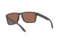 Oakley Holbrook Xl Zonnebril OO 9417 19