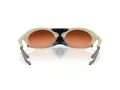Oakley Plantaris Zonnebril OO 9437 02