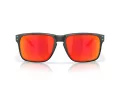Oakley Holbrook Xxl Zonnebril OO 9487 06