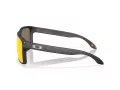 Oakley Holbrook Xxl Zonnebril OO 9487 06