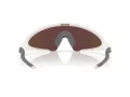 Oakley Ellipse Zonnebril OO 9490 02