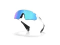 Oakley Stunt Devil A Zonnebril OO 9525 02