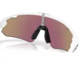 Oakley Stunt Devil A Zonnebril OO 9525 02