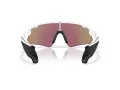 Oakley Stunt Devil A Zonnebril OO 9525 02