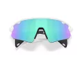 Oakley Stunt Devil A Zonnebril OO 9525 02