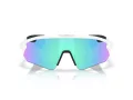 Oakley Stunt Devil A Zonnebril OO 9525 02