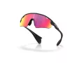 Oakley Stunt Devil A Zonnebril OO 9525 03