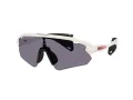 Oakley Stunt Devil A Zonnebril OO 9525 05