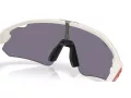 Oakley Stunt Devil A Zonnebril OO 9525 05