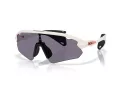 Oakley Stunt Devil A Zonnebril OO 9525 05