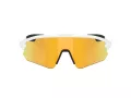 Oakley Stunt Devil A Zonnebril OO 9525 08