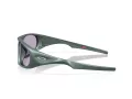 Oakley Neoforma Zonnebril OO 9528 02