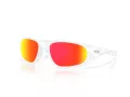 Oakley Neoforma Zonnebril OO 9528 03