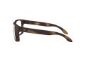 Oakley Holbrook Rx Brillen OX 8156 815602