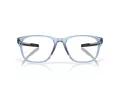 Oakley Cerebral Brillen OX 8187 04