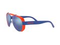 Polo Zonnebril PH 3129 9403/55