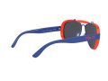 Polo Zonnebril PH 3129 9403/55