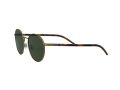 Polo Zonnebril PH 3133 9324/71