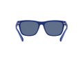 Polo Zonnebril PH 4167 5962/80