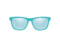 Polo Zonnebril PH 4167 5967/1N
