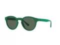 Polo Zonnebril PH 4184 6017/71