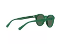 Polo Zonnebril PH 4184 6017/71
