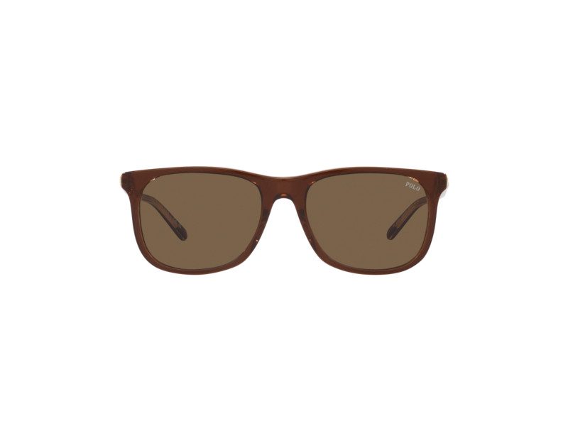 Polo Zonnebril PH 4186U 6029/73