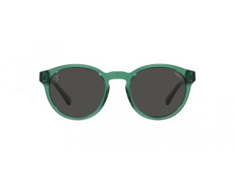 Polo Zonnebril PH 4192 608487