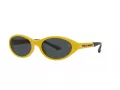 Polo Zonnebril PH 4197U 596187