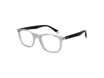 Polaroid Brillen PLD D424 900